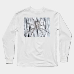 Philodromidae - running crab spider Long Sleeve T-Shirt